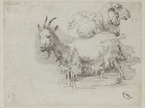 Jean Jacques de Boissieu, French, 1736-1810, Goat and Sheep, between 1736 and 1810, black crayon on