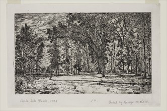 George W. Clark, American, Forest of Belle Isle Park - Detroit, 1893, etching printed in black ink