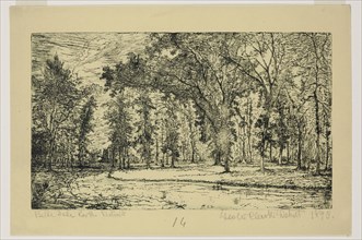 George W. Clark, American, Forest of Belle Isle Park - Detroit, 1895, etching printed in black on