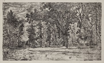 George W. Clark, American, Forest of Belle Isle Park - Detroit, 1893, etching printed in black ink