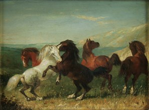 Unknown (American), Wild Horses, 19th century, paint on panel (wood), Overall: 7 1/2 × 8 1/2 inches