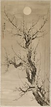 Yamamoto Baiitsu, Japanese, 1783-1856, Prunus in the Moonlight, 1846, Ink on silk, Overall: 103 3/4