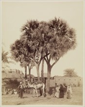 Anonymous Artist, View of an Egyptian Village, 19th century, albumen print