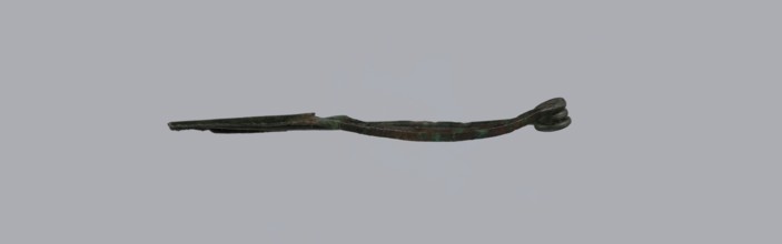 Arched fibula, Goluchów Greater Poland Voivodeship. Fibula with an arched bow; the pin emerges from