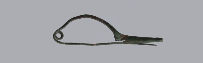 Arched fibula. Fibula with an arched bow; the pin emerges from a double-coiled spring. The sheath
