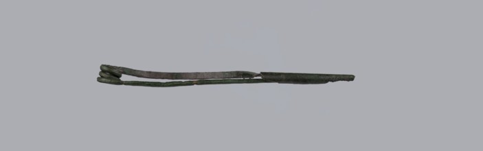 Arched fibula. Fibula with an arched bow; the pin emerges from a double-coiled spring. The sheath
