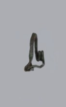 Arched fibula. Fibula with an arched bow; the pin emerges from a double-coiled spring. The sheath