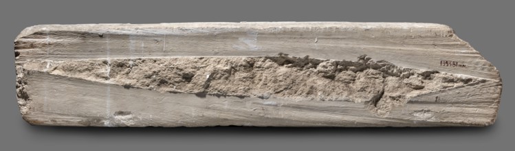 Fragments of wall decoration from the mastaba of the dignitary Tepemankh; Niuserre ruler of Egypt;
