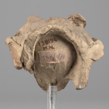 Head of Dionysus, A small terracotta head of Dionysus, part of a larger lost sculpture. The figure