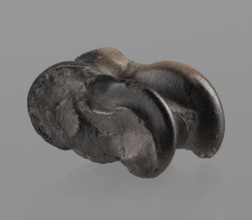 Cow astragal condylo-talus bone of a cow with a regular hole drilled in the center. Hellenistic