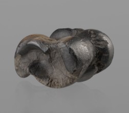 Cow astragal condylo-talus bone from a cow, with a regular hole drilled in the center. Hellenistic