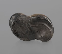 Cow astragal condylo-talus bone, with a regular hole drilled in the center., Myrmekion Crimea,