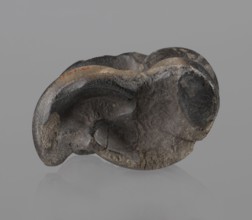 Cow astragal condylo-talus bone from a cow, with a regular hole drilled in the center. Materials: