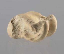 Astragalus of a cow, Myrmekion Crimea, Hellenistic period 323–30 BC, astragalus condylo-talus bone