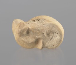 Astragalus of a cow, Myrmekion Crimea, Hellenistic period, astragalus condylo-talus bone of a cow,