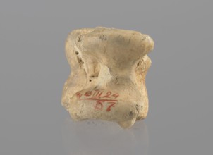 Cow astragal, Myrmekion Crimea, Crimea Ukraine, Hellenistic period, antiquity, bones, cow astragal