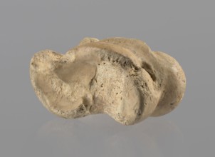 Cow astragal, Myrmekion Crimea, Hellenistic period, antiquity, bones, cow astragal condylo-talus