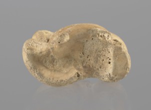 Cow astragal, Myrmekion Crimea, Crimea Ukraine, Hellenistic period, bones, cow astragal