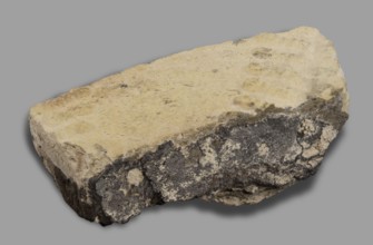 Fragment of a brick with relief decoration. Element of an unglazed panel with a depiction of a bull