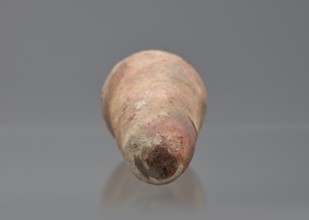 Basa's funerary cone, made by Basa ca. 664–610 BC, Late Period, 26th Dynasty reign of Psammetik I.