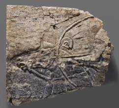 Fragment of an orthostat with relief decoration, unknown Neo-Assyrian workshop. Fragment of a stone
