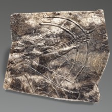Fragment of an orthostat with relief decoration, unknown Neo-Assyrian workshop. Fragment of a stone