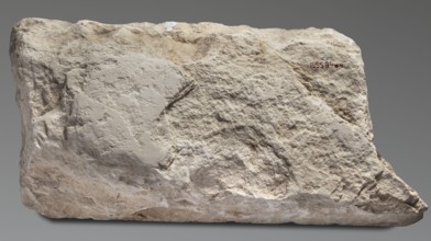 Relief from the mortuary temple of Niuserre, Niuserre ruler of Egypt; ca. 2445–2421 BC, restitution