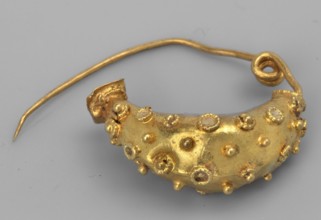 Leech fibula, brooch, goldsmithery. Leech fibula with a swollen ring made of gold plate, decorated