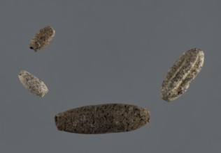 Set of four spindle-shaped beads, unknown Northern Mesopotamian workshop, Early Jazira III period