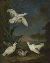 Ptarmigan against a Landscape, Witte, L. de fl. ca 1700–1750 painter. Dark tone. Dark sapphire sky