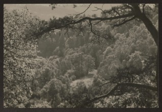 Vilnius, vicinity of Pushkarnia; photographer Jan Bulhak 1876–1950; Pushkarnia and Nowa Wilejka