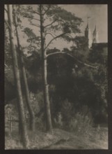 Vilnius environment. Kalwaria, Bulhak, Jan 1876–1950 photographer, Kalwaria Wilenska Vilnius;