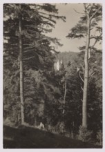 Trynopol Forest and Kalwaria, Bulhak, Jan 1876–1950 photographer, Kalwaria Wilenska Vilnius; Werki,