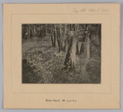Reproduction of a painting: Karol Biske 1863–1928, In the Park; painting; Polish painting;