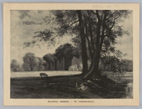 Reproduction of a painting: Karol Biske 1863–1928, In Ustroniu; painting, Polish painting,
