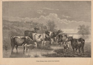 Fudge; painting reproduction after Brodowski, Józef 1828–1900; woodcut by Choromanski, A. fl.
