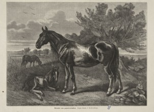 Reproduction of a painting: Józef Brodowski 1828–1900, Horses in the Pasture; 1873; painting;