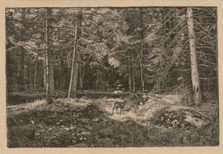 Reproduction of a drawing: Feliks Brzozowski 1836–1892, From the forests; painting; Polish