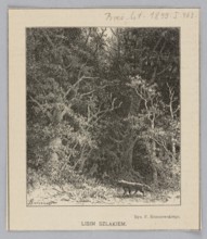 On the Fox Trail; from Biesiada Literacka 1899, no. 23 June 9, p. 463. By Feliks Brzozowski