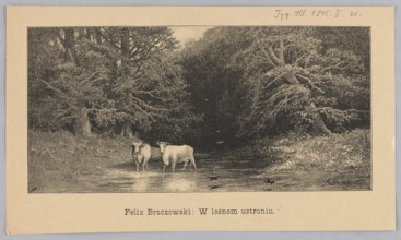 In a forest retreat; 1895; illustration after Feliks Brzozowski 1836–1892; reproduction by Angerer