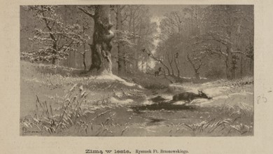 In Winter in the Forest, Feliks Brzozowski 1836–1892 illustrator/author, Lefman graphic artist,