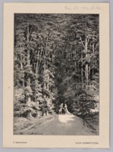 Reproduction of an engraving: Feliks Brzozowski 1836–1892, Romantic Avenue, 1901; illustration