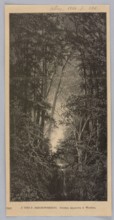 Reproduction of a drawing by Feliks Brzozowski 1836–1892, Forest Landscape; illustration showing