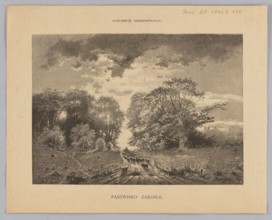 Overgrown pasture; illustration by Feliks Brzozowski 1836–1892, 1892; landscape—pastoral country