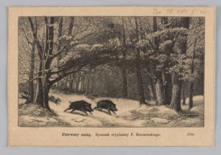 First snow; woodcut illustration after Feliks Brzozowski by Julia Krajewska, 1885. Depicts wild