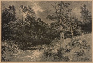After the storm; 1886; illustration for Klosy; forest landscape showing landscapes during a storm;