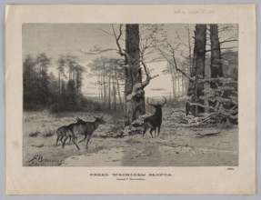 Before sunrise; Brzozowski, Feliks 1836–1892 draughtsman/author; Malinowski, Aleksander 1855–1917