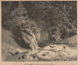 After the storm; 1885; illustration by Feliks Brzozowski 1836–1892, reproduced by Angerer & Göschl