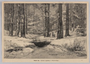 Inside the forest; 1881. Woodcut/graphic illustration by Józefa Kleczenska after Feliks Brzozowski