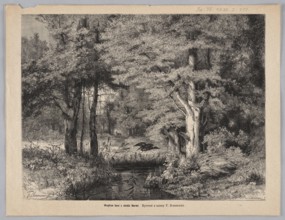 The interior of the forest near the Narew River; woodcut after a painting by Feliks Brzozowski
